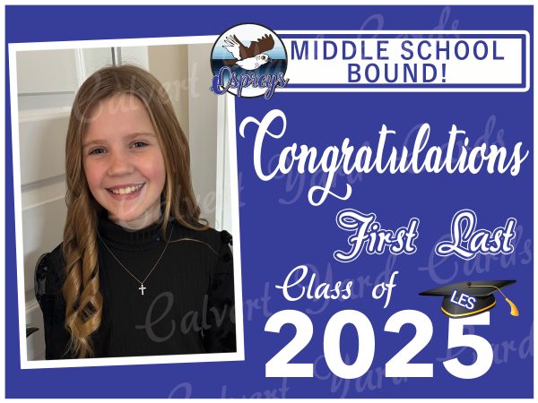 Graduation Custom Sign - Image 8