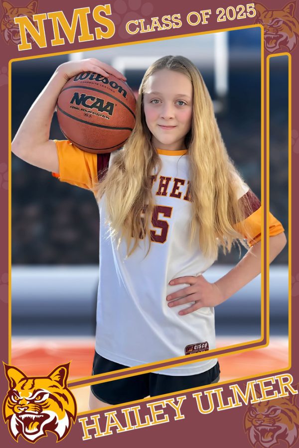 Sports Card Banner - Image 3
